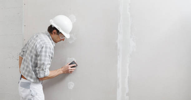  Bensenvle, IL Drywall & Painting Services Pros